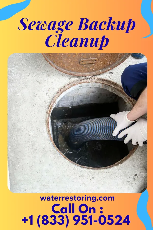 Sewage Backup Cleanup in Devol, OK